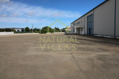 Armazém para Venda em São Brás de Alportel
