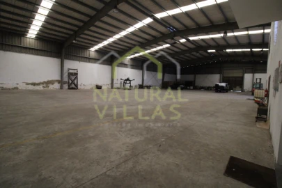 Armazém para Venda em São Brás de Alportel