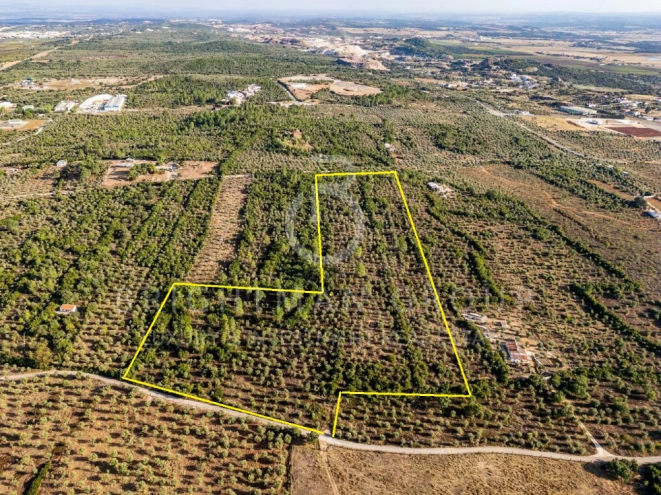 Terreno para Venda em Borba (Matriz) Foto 28