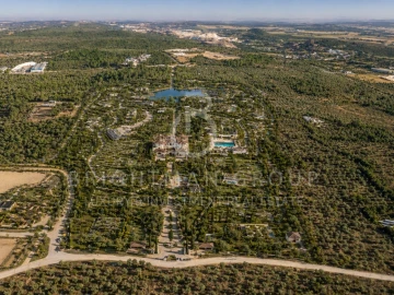 Terreno para Venda em Borba (Matriz)