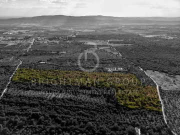 Terreno para Venda em Borba (Matriz)