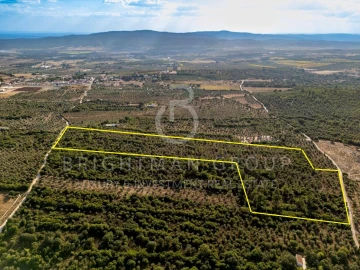Terreno para Venda em Borba (Matriz)