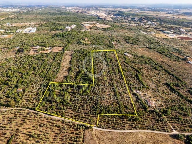 Terreno para Venda em Borba (Matriz) Foto 28