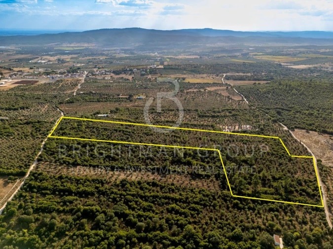 Terreno para Venda em Borba (Matriz) Foto 2
