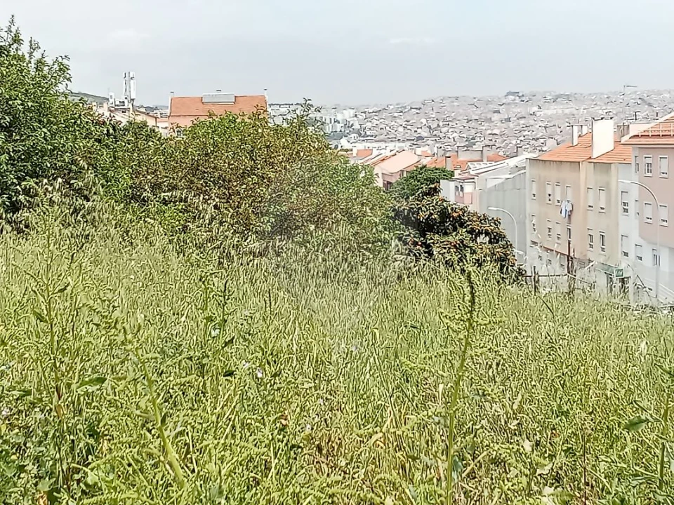 Terreno para Venda em Encosta do Sol Foto 4