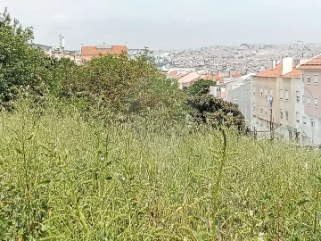 Terreno para Venda em Encosta do Sol