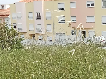 Terreno para Venda em Encosta do Sol