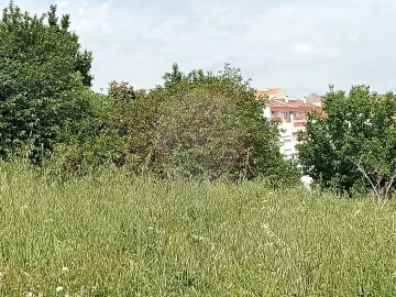 Terreno para Venda em Encosta do Sol