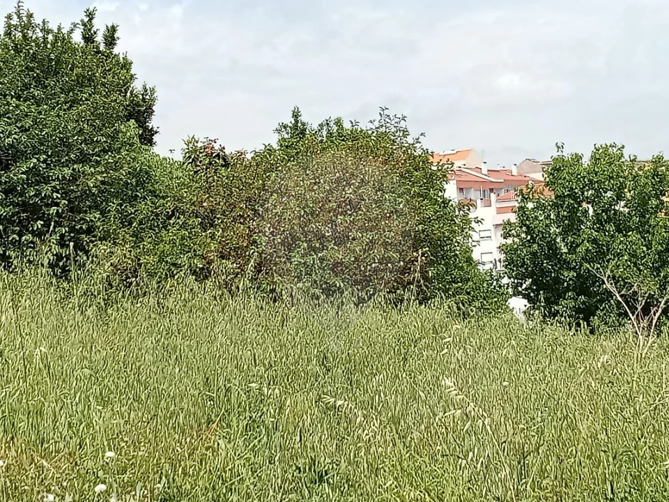 Terreno para Venda em Encosta do Sol Foto 6