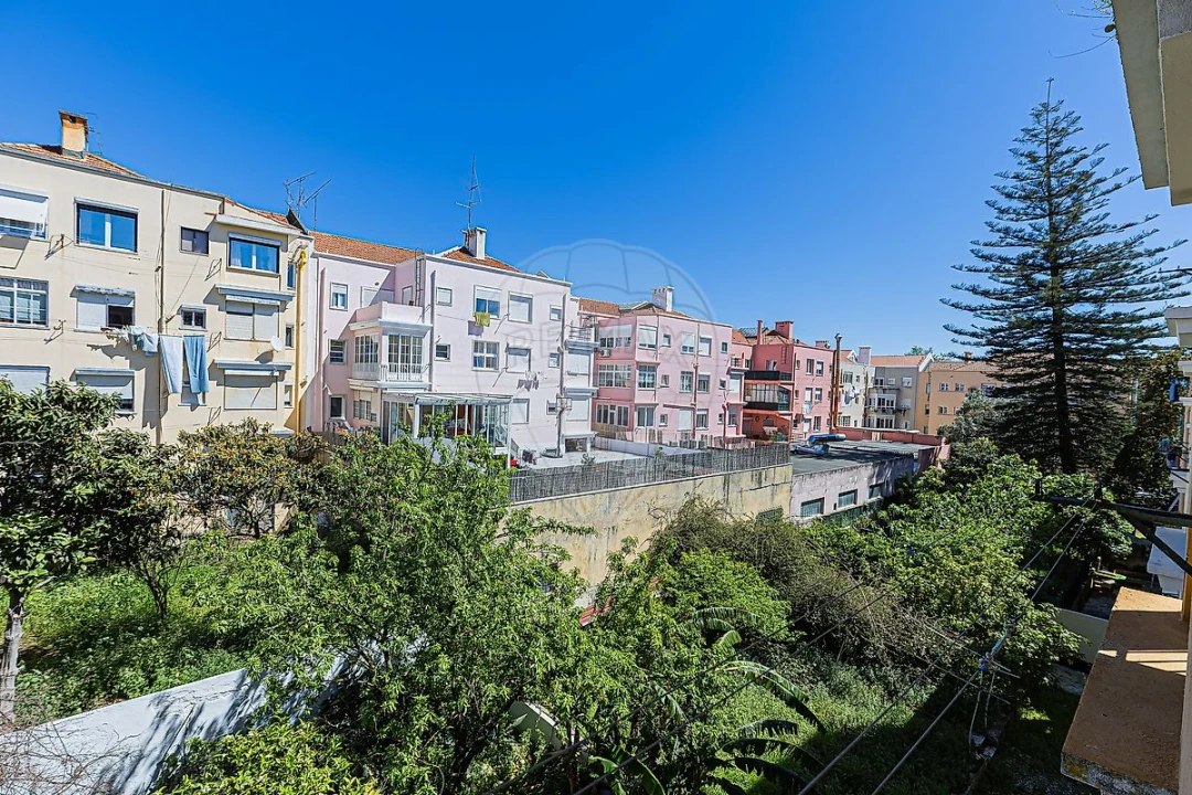 Apartamento T4 para Arrendamento em Alvalade Foto 10