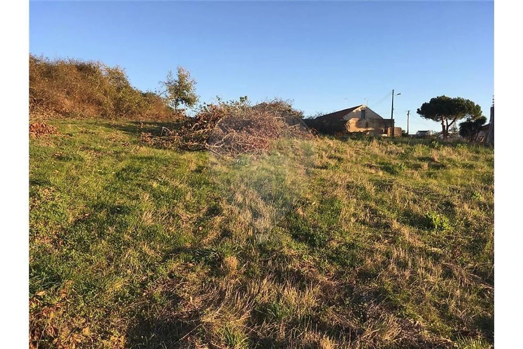Terreno para Venda em Cela Foto 1