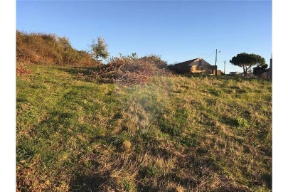 Terreno para Venda em Cela