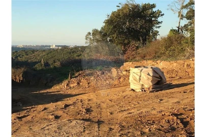 Terreno para Venda em Cela
