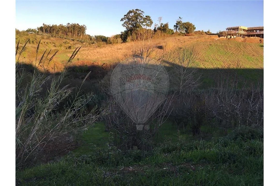 Terreno para Venda em Cela Foto 7