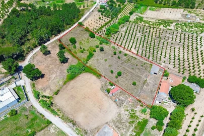 Quinta T0 para Venda em Pontevel
