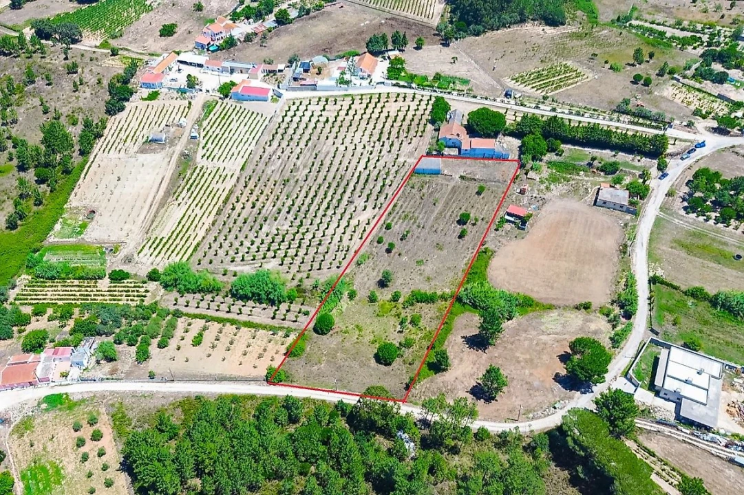 Quinta T0 para Venda em Pontevel Foto 8