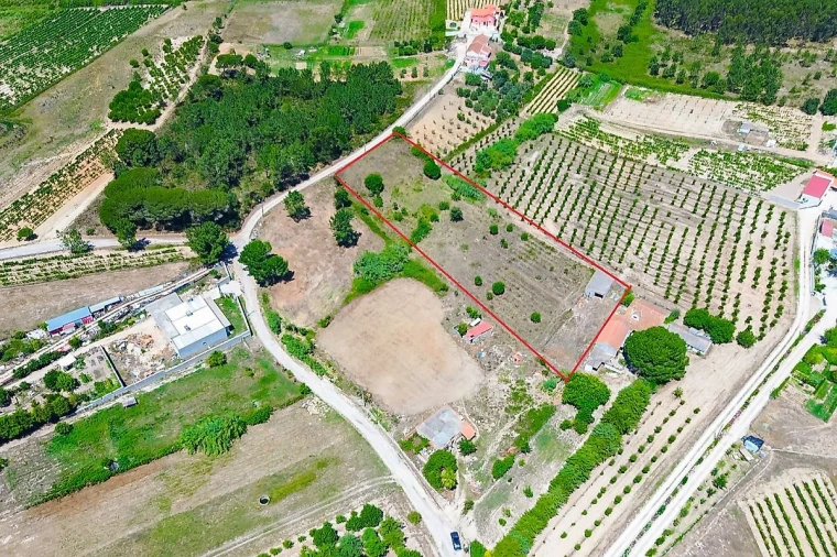 Quinta T0 para Venda em Pontevel Foto 7