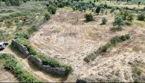 Terreno para Venda em Castelo Branco