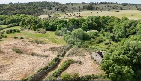 Terreno para Venda em Castelo Branco