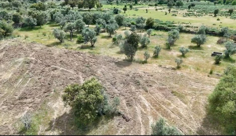 Terreno para Venda em Castelo Branco