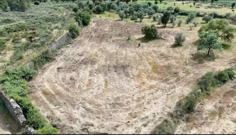 Terreno para Venda em Castelo Branco