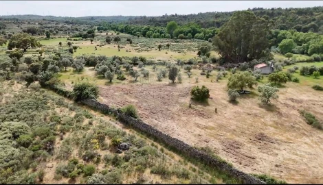 Terreno para Venda em Castelo Branco