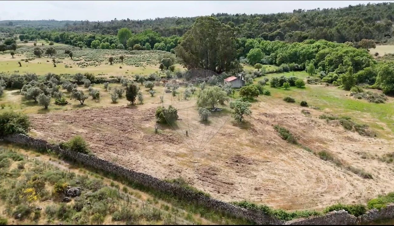 Terreno para Venda em Castelo Branco Foto 7