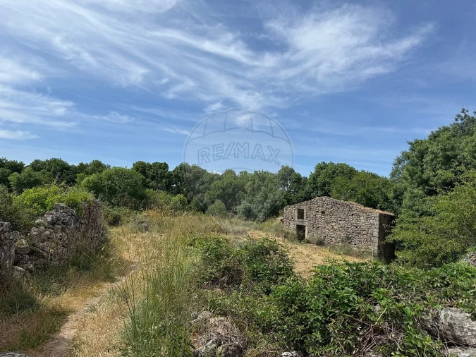 Terreno para Venda em Castelo Branco Foto 12