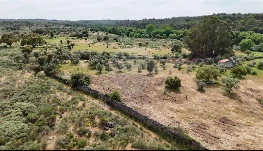 Terreno para Venda em Castelo Branco Foto 10