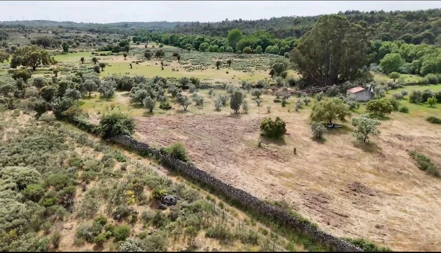 Terreno para Venda em Castelo Branco Foto 4