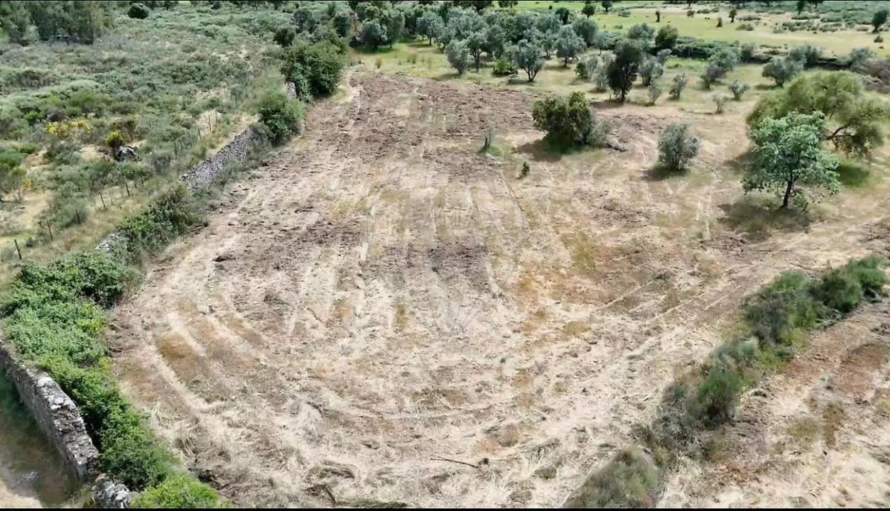 Terreno para Venda em Castelo Branco Foto 1