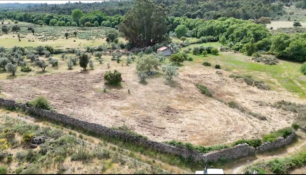 Terreno para Venda em Castelo Branco Foto 9