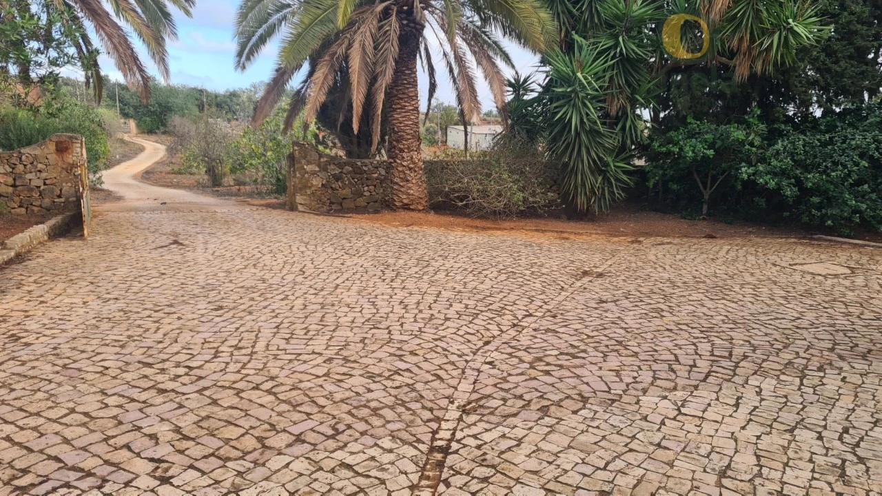 Quinta T5 para Venda em Guia Foto 10