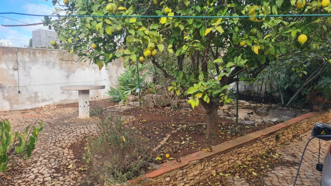 Quinta T5 para Venda em Guia Foto 12