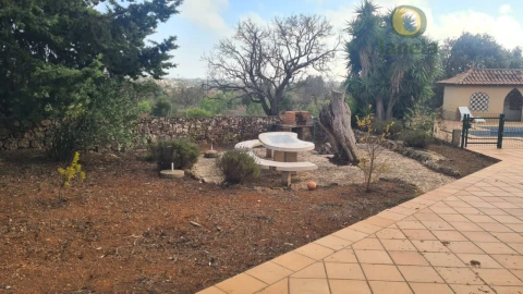 Quinta T5 para Venda em Guia