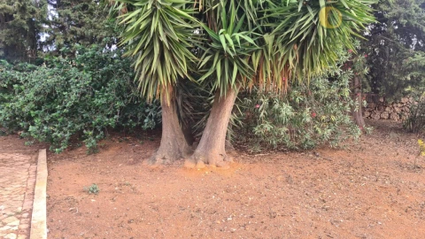 Quinta T5 para Venda em Guia