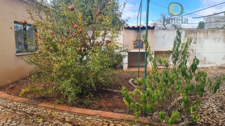 Quinta T5 para Venda em Guia Foto 9