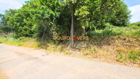 Terreno para Venda em Fânzeres e São Pedro da Cova