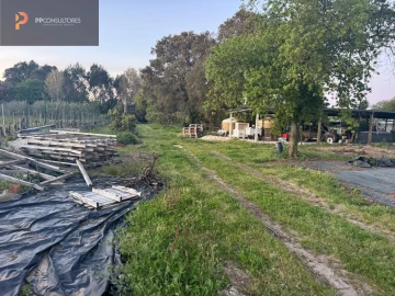 Moradia T7 para Venda em Oliveira do Bairro