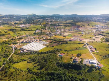 Quinta para Venda em Milharado