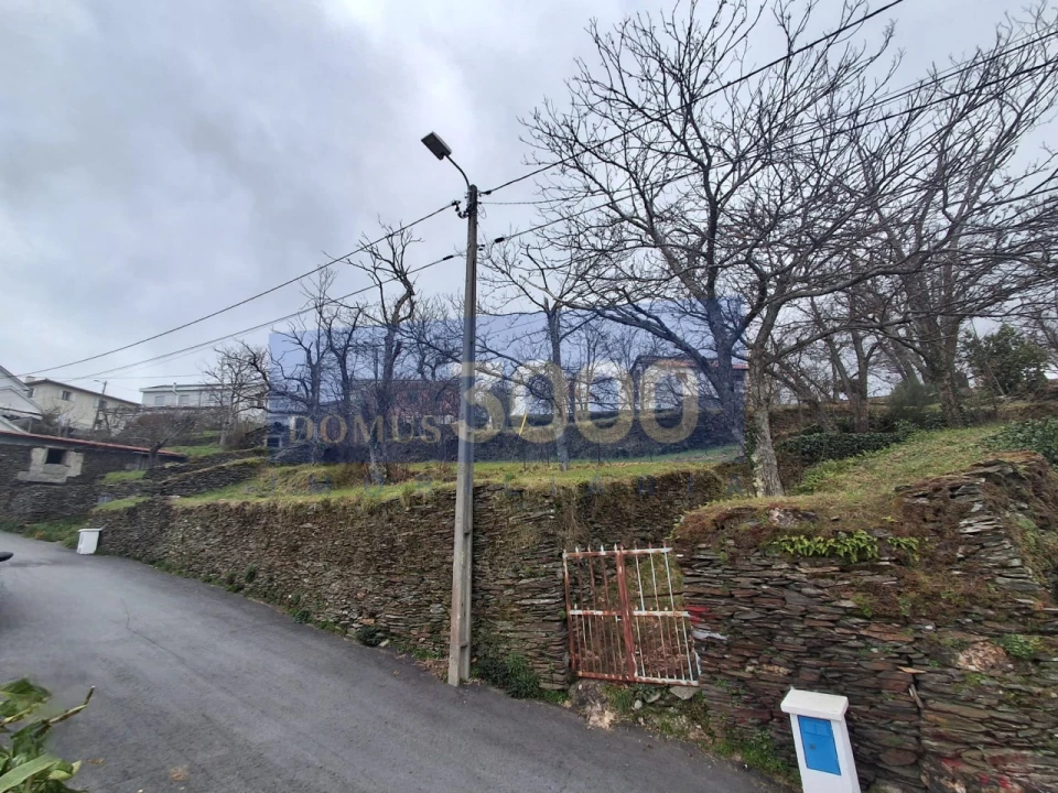 Terreno Agricola ou Rústico para Venda em Torgueda Foto 2