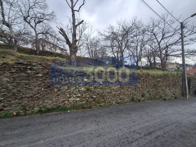 Terreno Agricola ou Rústico para Venda em Torgueda Foto 3