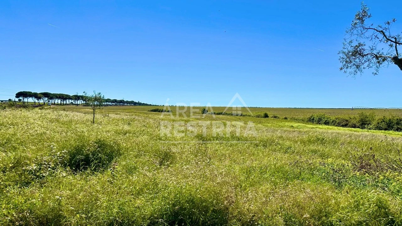 Moradia T2 para Venda em Canha Foto 6