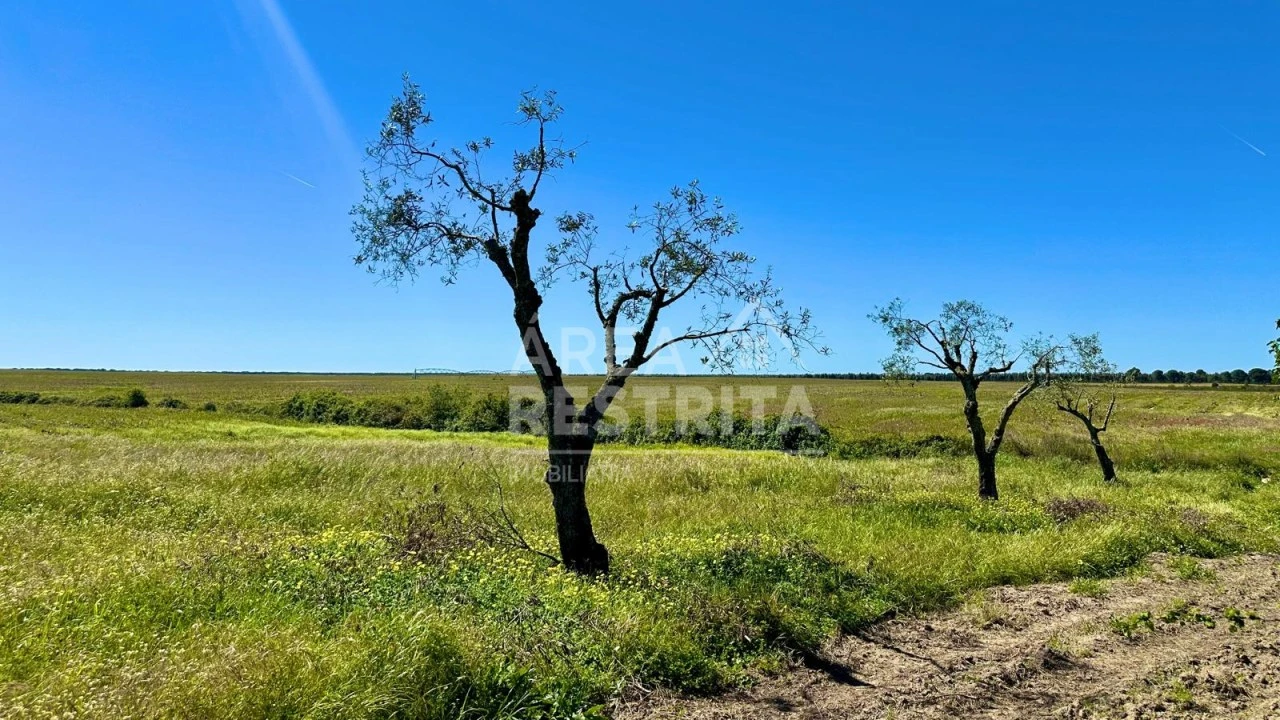 Moradia T2 para Venda em Canha Foto 7