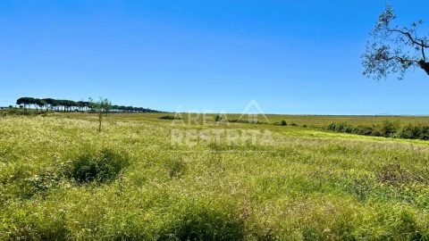 Moradia T2 para Venda em Canha