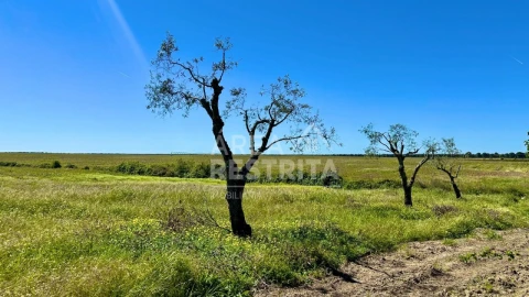 Moradia T2 para Venda em Canha