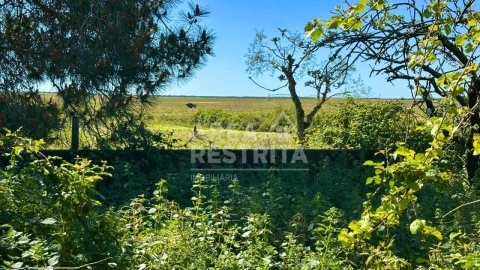 Moradia T2 para Venda em Canha