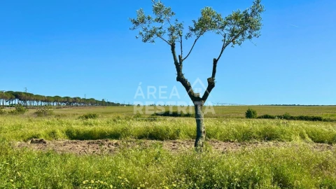 Moradia T2 para Venda em Canha