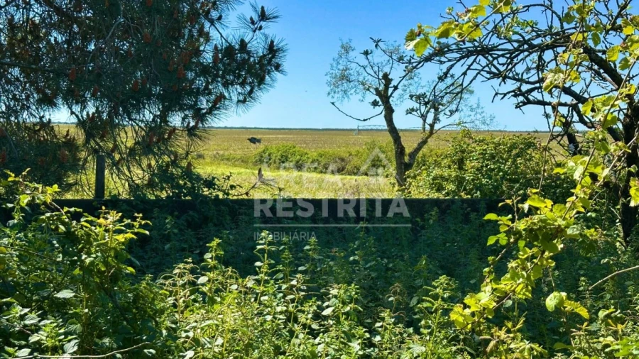 Moradia T2 para Venda em Canha Foto 14