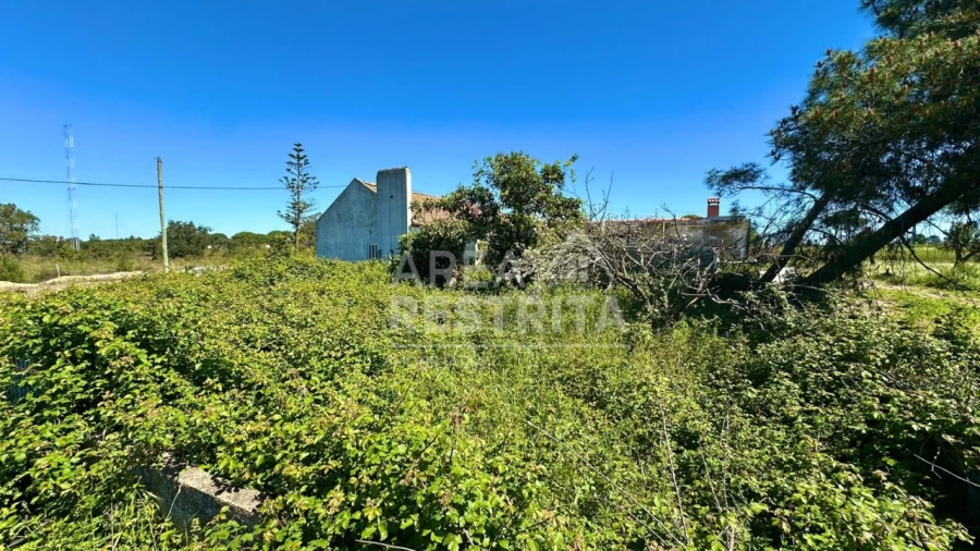 Moradia T2 para Venda em Canha Foto 25